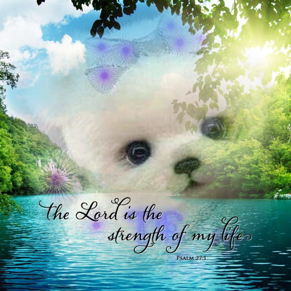 Meet your Posher, Carmen